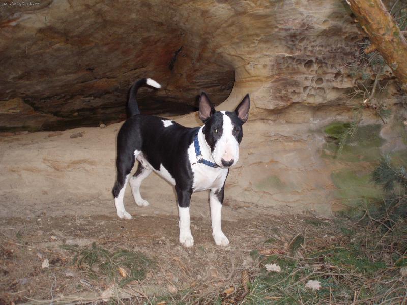 Foto: Whisky-na v�let�