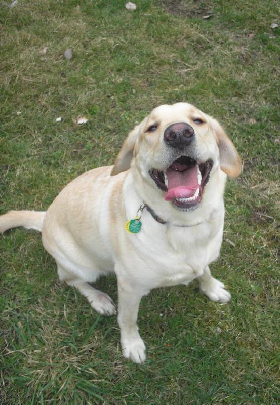 Foto: To je sranda..