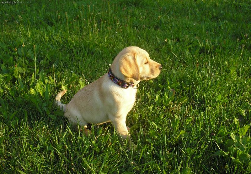 Foto: To jsem byla je�t� mali�k�