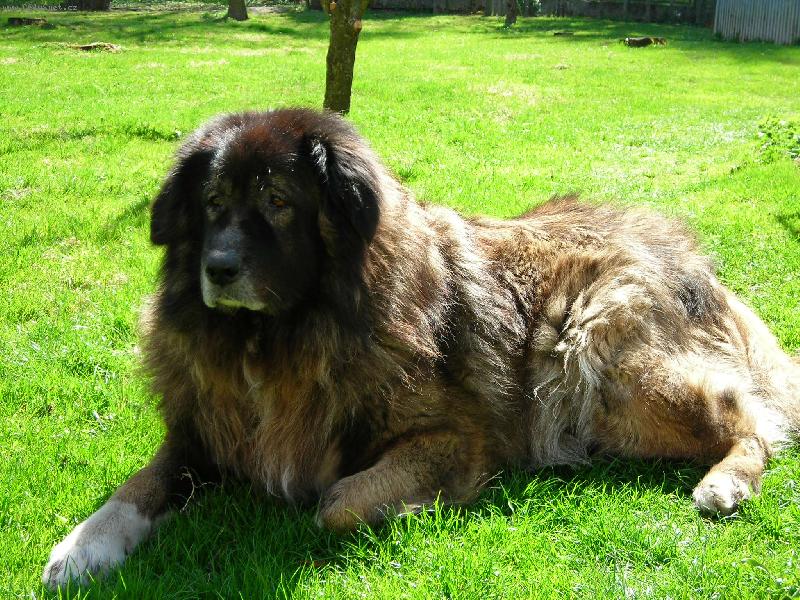 Foto: Vzpom�nka na Cesara-Na zahrad�