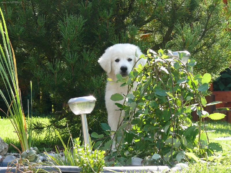 Foto: Tady m� snad nenajdou...