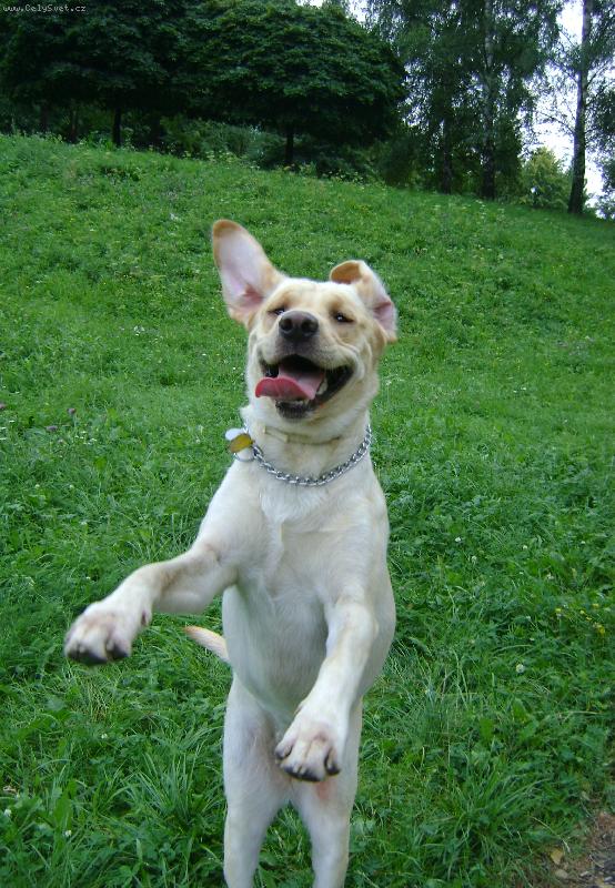 Foto: rita v akci :D