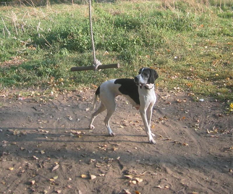 Foto: Dora z Lukovsk�ch l�n�