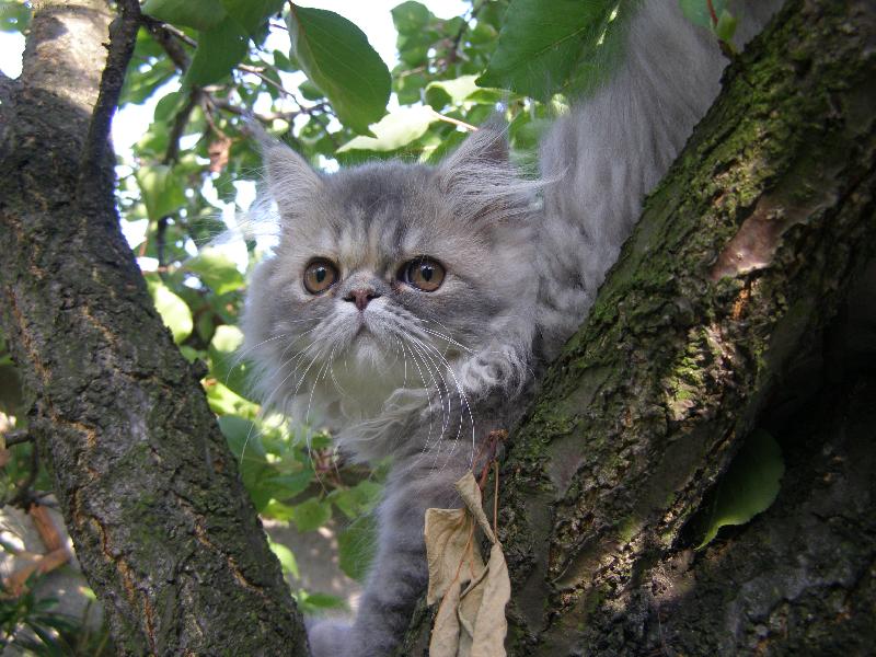 Foto: Maggie si u��v� kr�sy p��rody