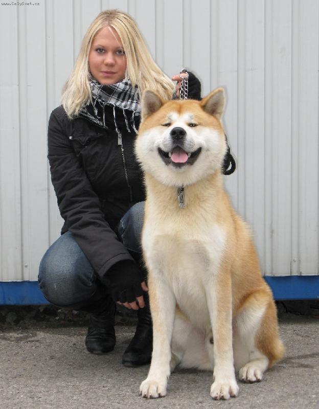 Foto: Desetim�s��n� Zurui