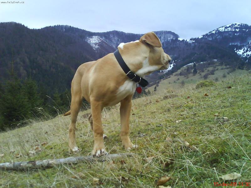 Foto: Whisky-Moje v�etko