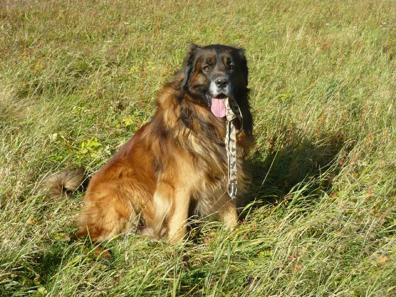 Foto: akim-ulovil jsem voditko