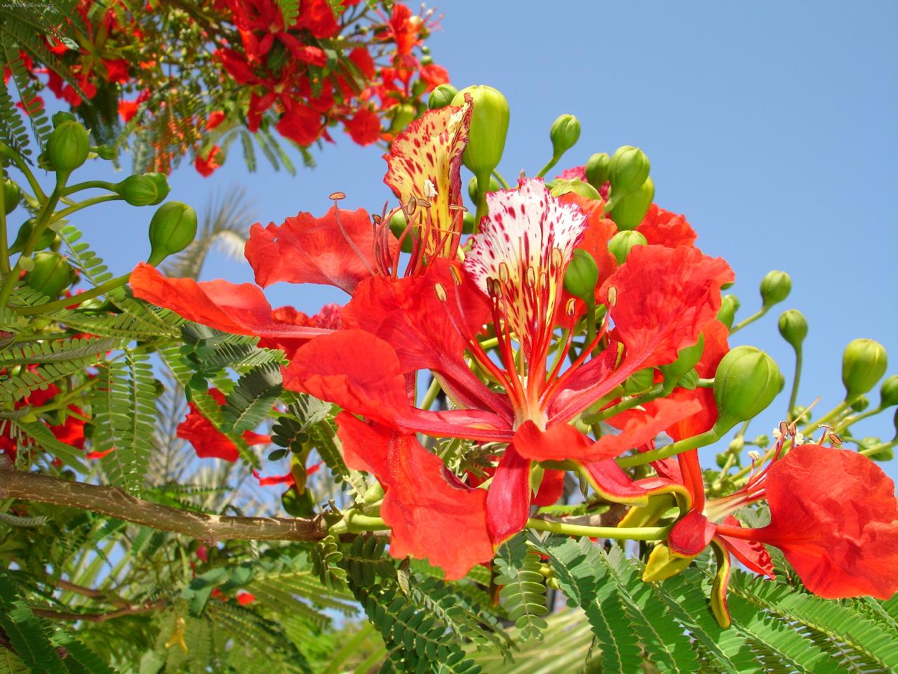 Foto: Moc p�kn� ale mn� nezn�m�