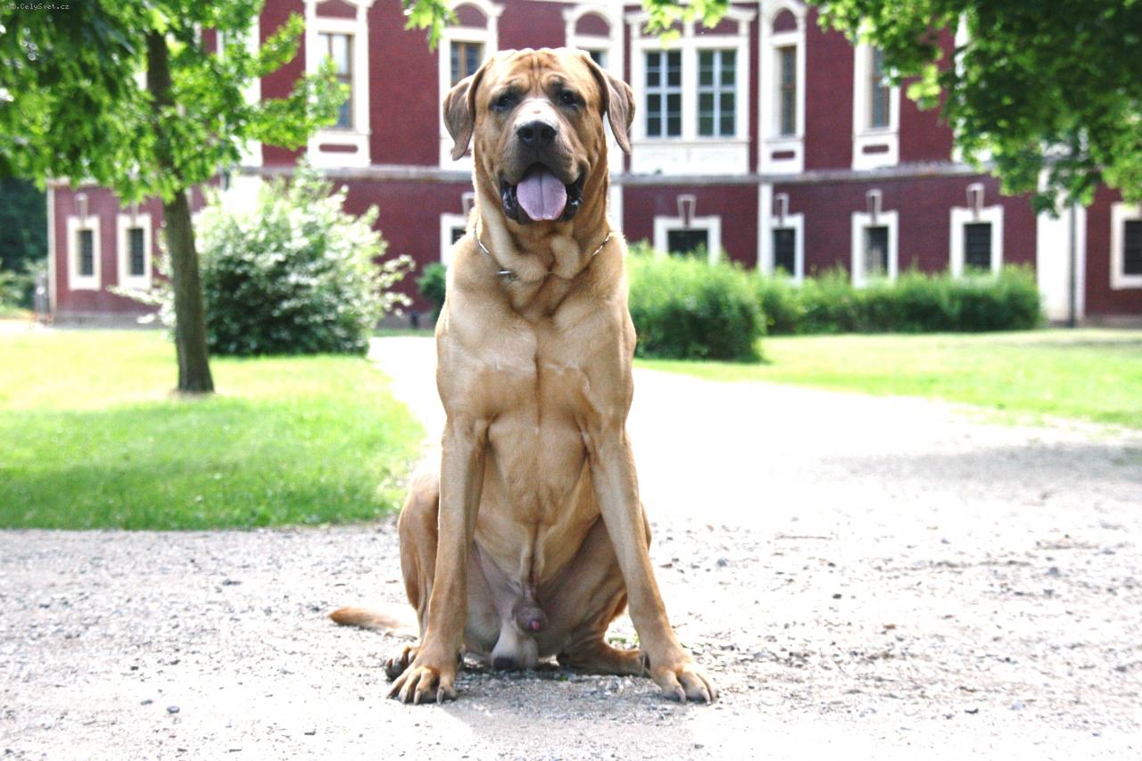 Foto: Baldey Veltrusy