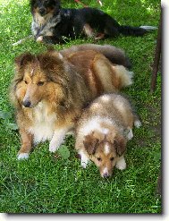 Eli�ka a jej� �t���tko