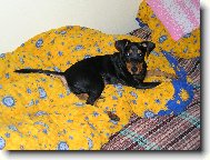 V ciz� pot�lce je v�dycky nejl�p