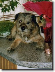 Has�nkova pohodi�ka