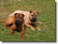 �arpej - matka s dcerou