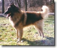 Dino Rudolfovsk� sk�la CZ