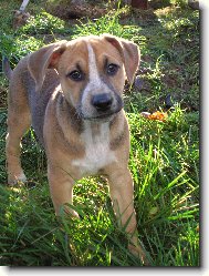 co to m� p�ed t�m ,,xichtem?\" mam �t�knout, nebo ne?