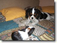 moje zlat��ko Brixi