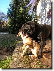 Ur�ov�n� pravidel-krocen� nov��ka