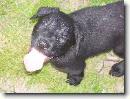 Jessie kdy� byla je�t� malink�