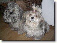 Sindynka a Lump�k:-)