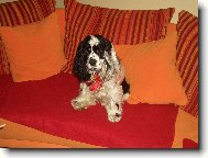 m� prvn� narozeniny:-\\)