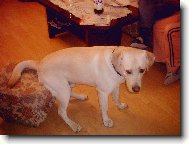 sed�m na taburetu,no a ?