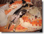 Apollo - odpoledn� siesta