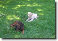 Bene�ek-10 let a Britu�ka-2 m�s�ce