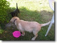 Amy a Britu�