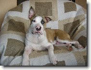 BRUCE  u� rostu   7.m�s�cu