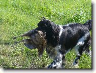 Benjamin od Kamenn� b�by