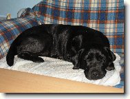 Spink�m si jen tak po ob�d�.