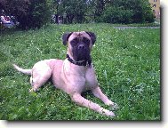 Fatyma Nad�je ze Zvole