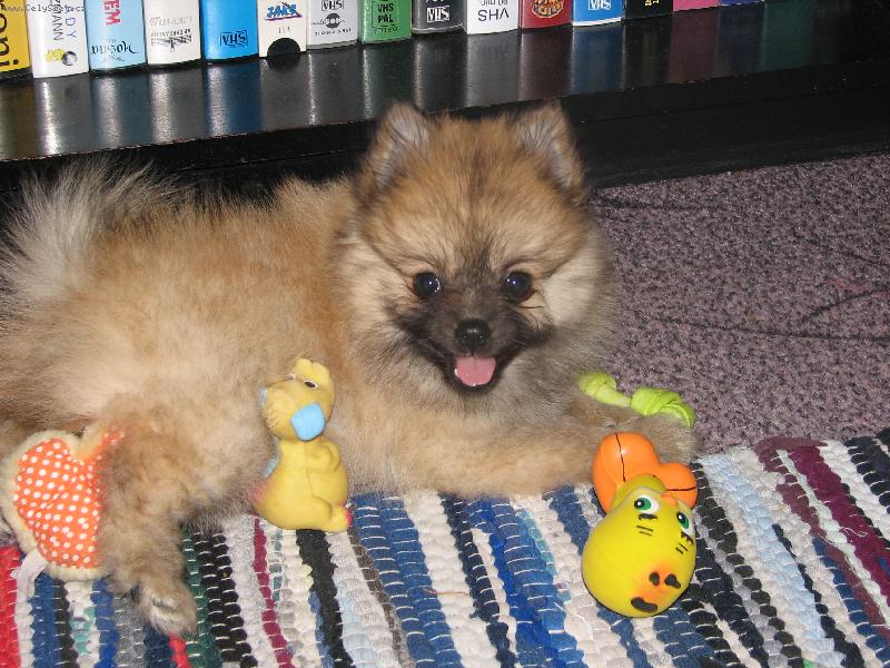 Foto: Cindy-Tak co...tv��im se dost roztomile?