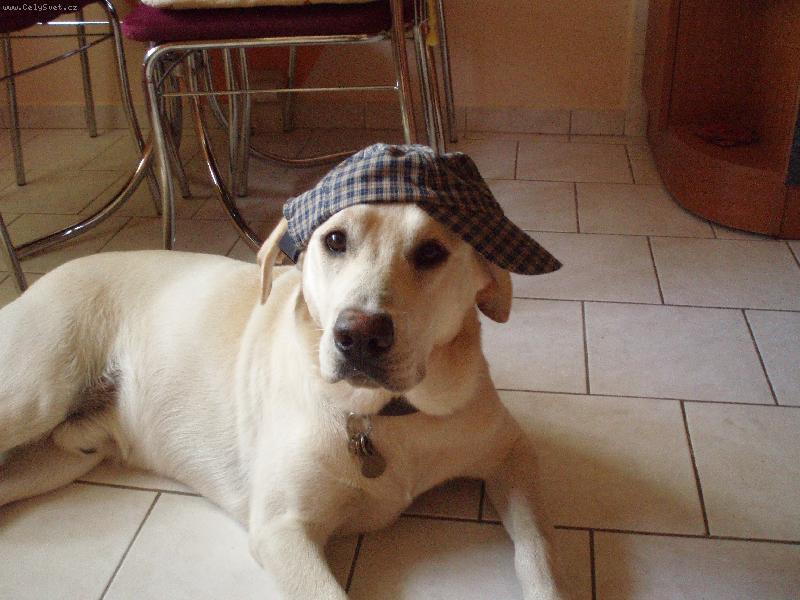 Foto: Sam��ek-Prost� mil��ek