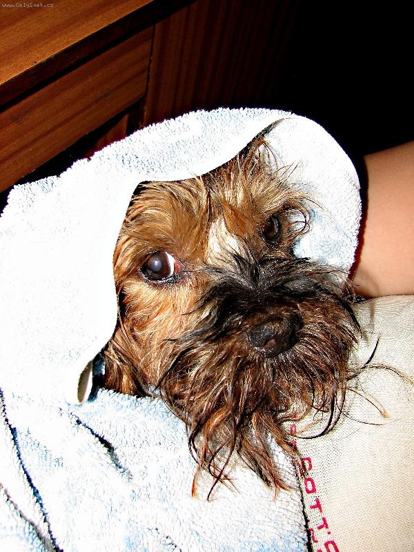 Foto: RELAXUJU - DNES JE MI 9 LET