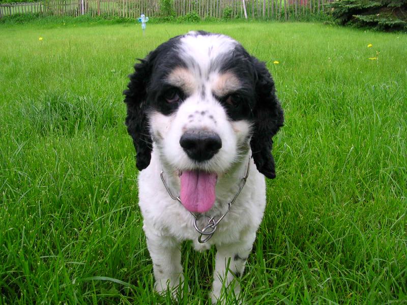 Foto: Lordi�ek-M�j nejlep�� p��tel