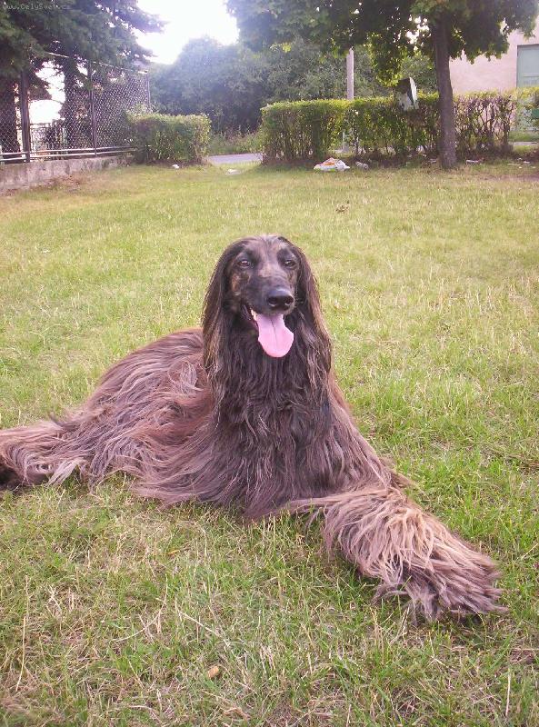 Foto: no jo na proch�zce-Cidinka