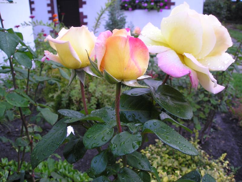 Foto: Je po d�ti-r��e