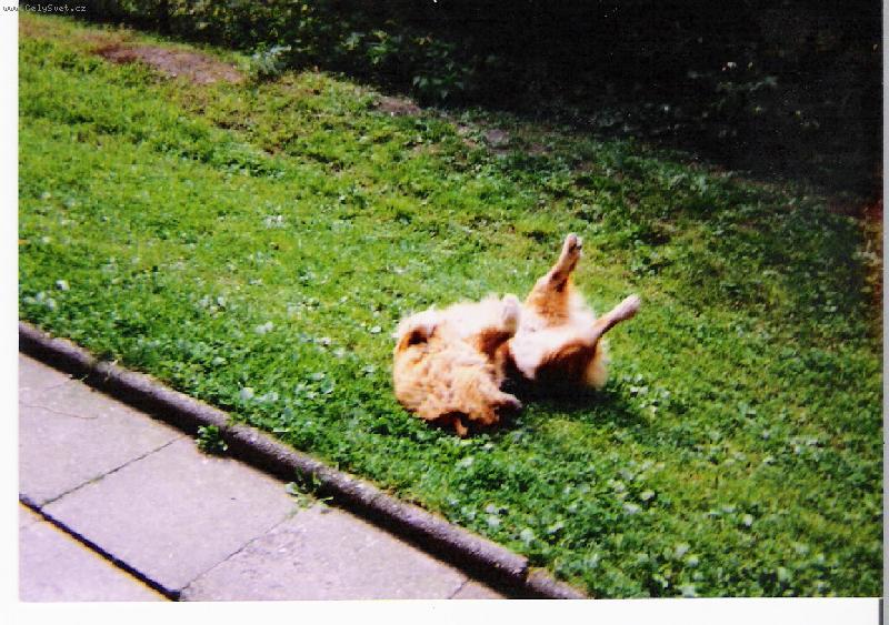 Foto: Rann� rozcvi�ka