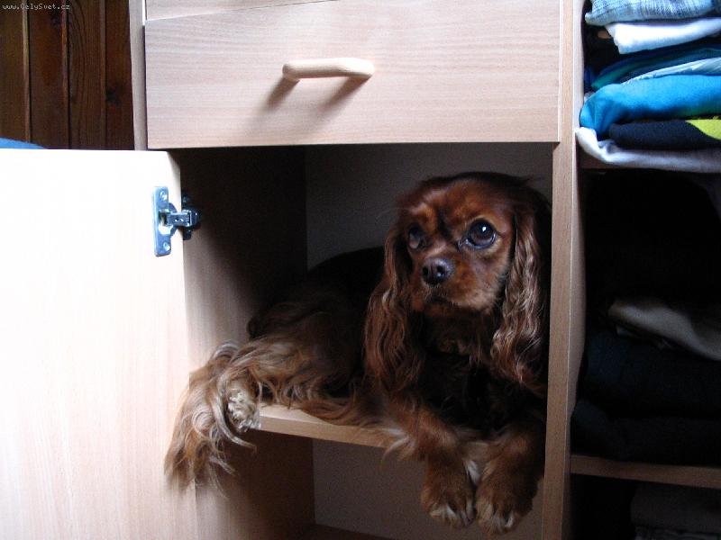 Foto: Funny-ve sk��ni