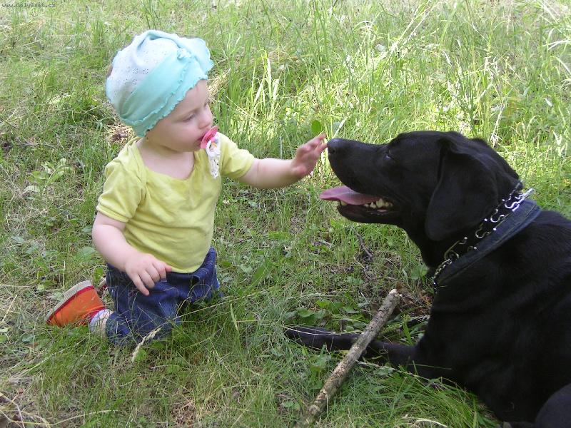 Foto: Perny vycvik-LEHNI !