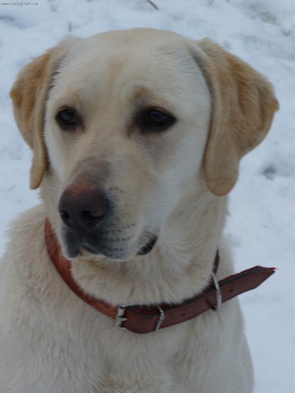 Foto: Nejlep�� kamar�dka-SANY