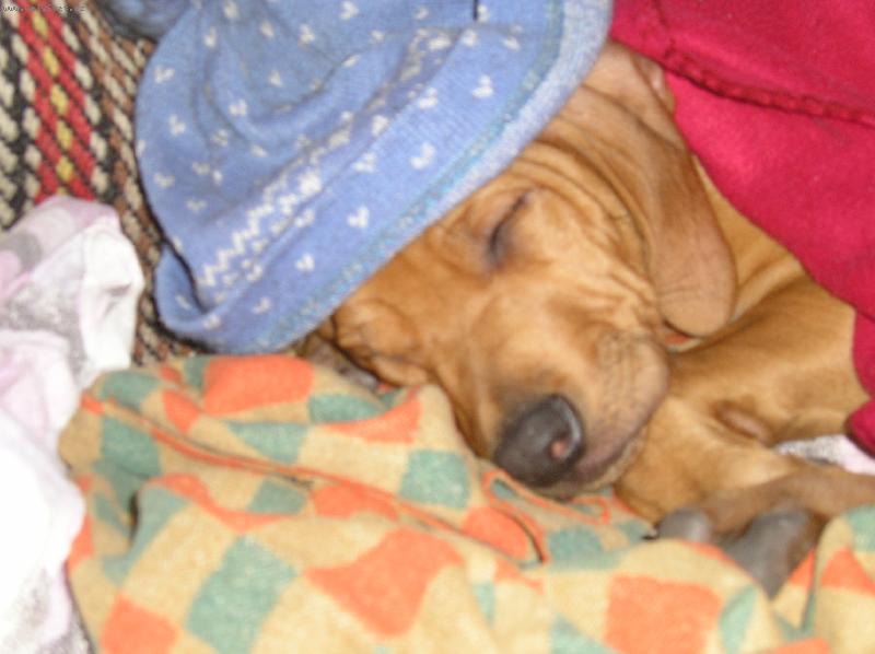 Foto: Mendy spink�, neru�it!