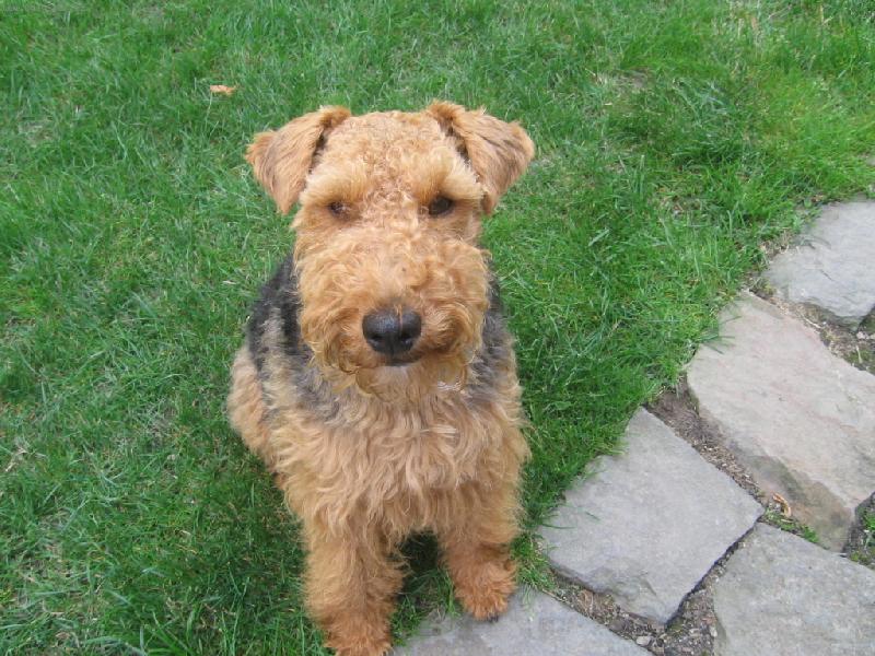 Foto: hele co to je za divnou kovovou v�c?