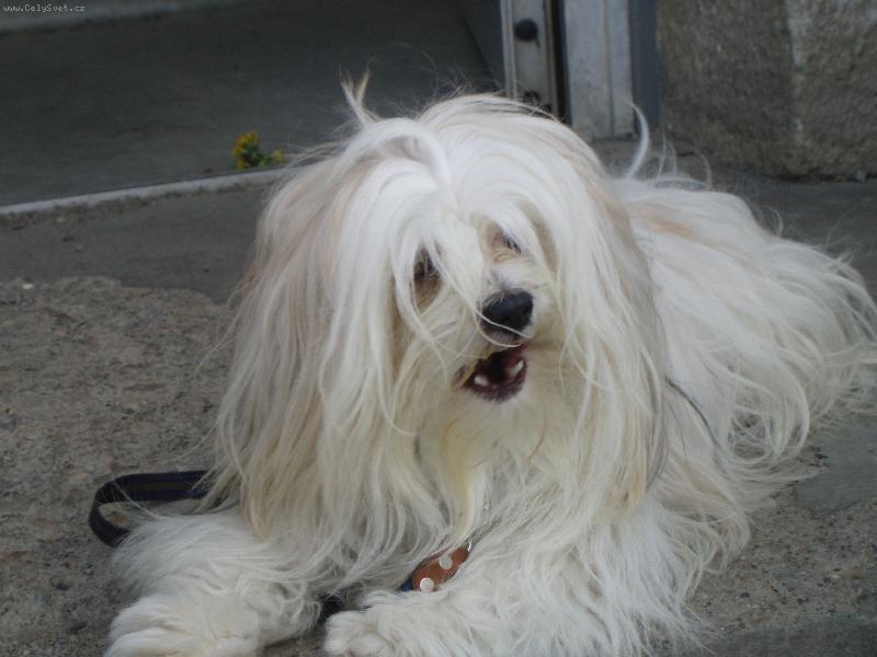 Foto: Vanneska-moje krasavice