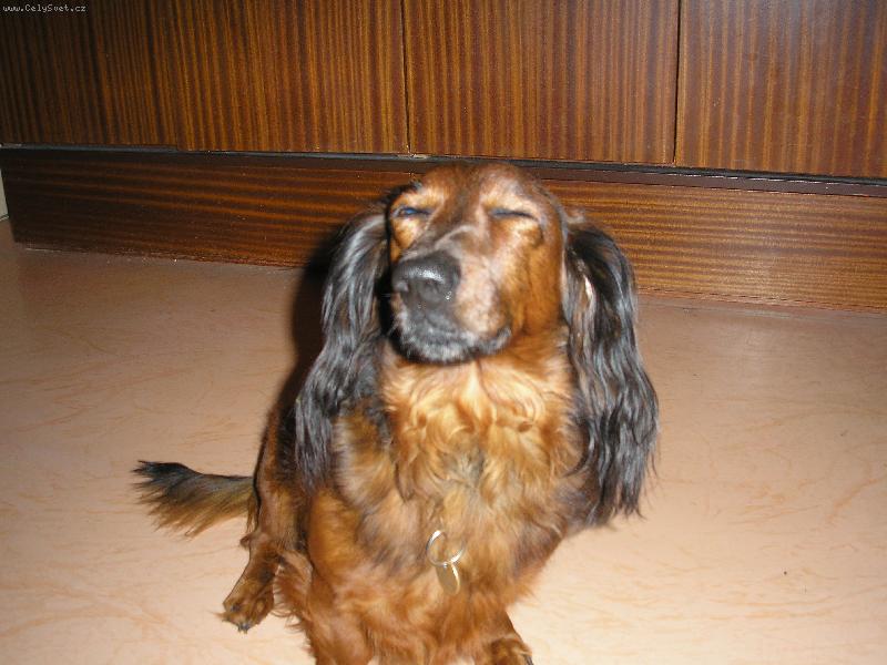 Foto: Ben�k-V pohod�