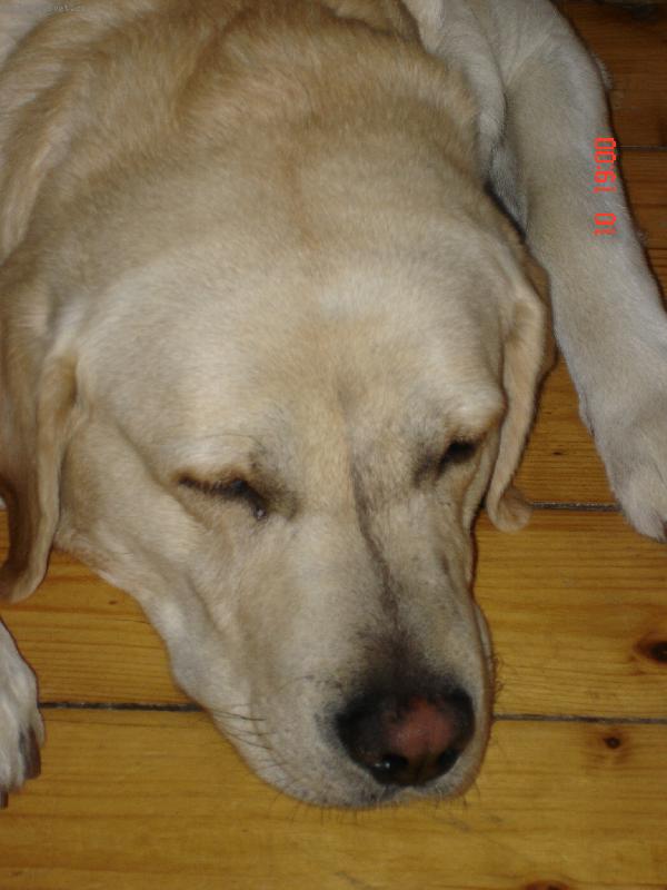 Foto: Jeff��ek =)