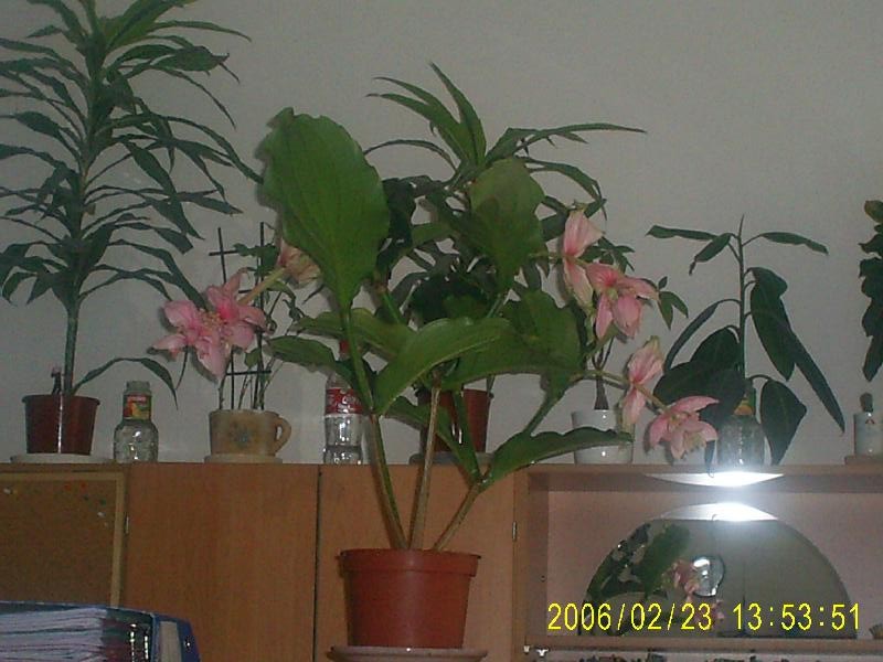 Foto: I v pr�ci m��e b�t kr�sn�