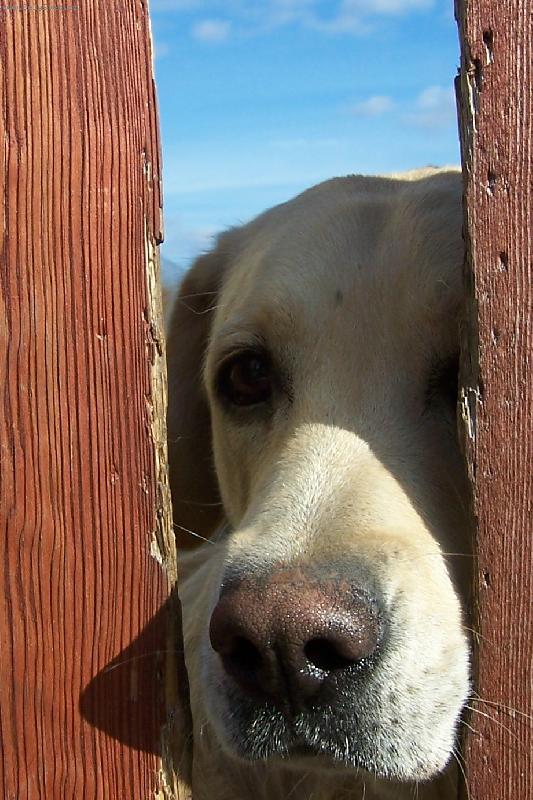 Foto: Veron�iny smutn� o�i