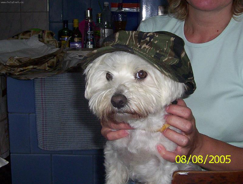 Foto: Max�k-A jde se na ryby...